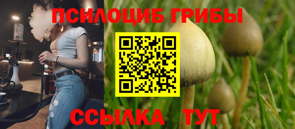 Псилоцибиновые грибы Cubensis Верхняя Салда